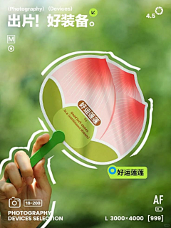 红茶YU采集到海-豹