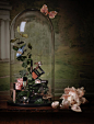 Still Life Photographer - London, New York, Paris, Milan - Dennis Pedersen - gallery beauty