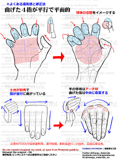 缘因·采集到人体：手部