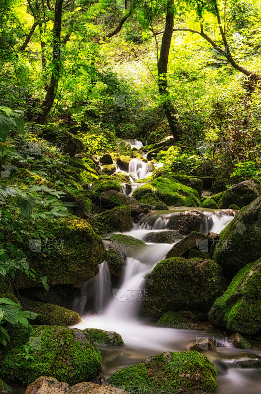 小溪,修改系列,雨,垂直画幅,水,美,枝...