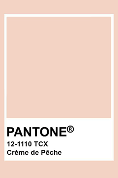残酷、的现实采集到潘通(PANTONE)