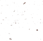 Feature_C_089