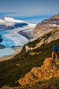 Saskatchewan Glacier, Canada | Callum Snape