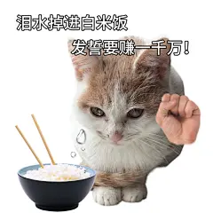 超有梗的泪水打湿食物表情包_1_歪嘴小锅巴_来自小红书网页版