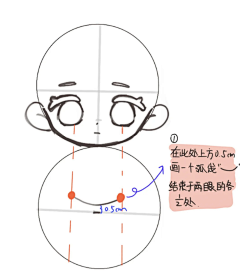 白折郡采集到Q版人体结构