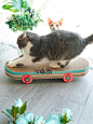 宅猫酱 NianGao年糕创意滑板车猫抓板猫咪磨抓器瓦楞纸抓板猫玩具-淘宝网