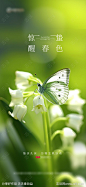 惊蛰节气图房地产-源文件-志设网-zs9.com