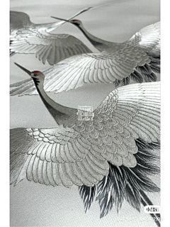 iCTiOv9X采集到绘画