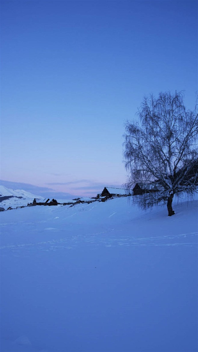 雪景