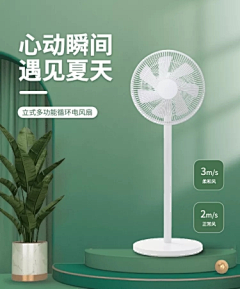 mo-yam采集到D·电商(风扇)