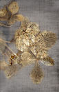 Fair and beautiful: Airy #gold leaves #Inspiration #Natur: 