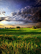 ✯ By Phil Koch