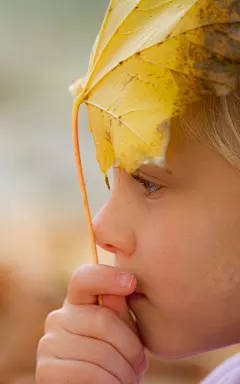 欧美可爱小孩唯美秋季写真手机壁纸