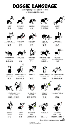 胡喵喵采集到手绘&插画