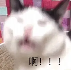 你的表情包来了。。。。