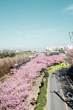 『沉眠』采集到sakura