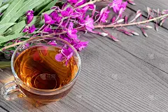 龙须草又称开花莎莉和茶杯茶，复制空间