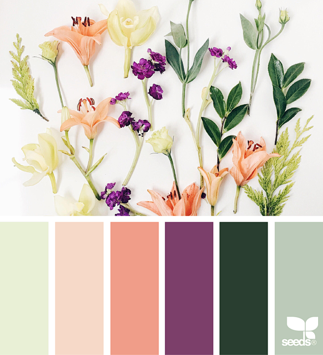 { foraged hues } ima...