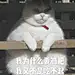 小蛮殿下qaq