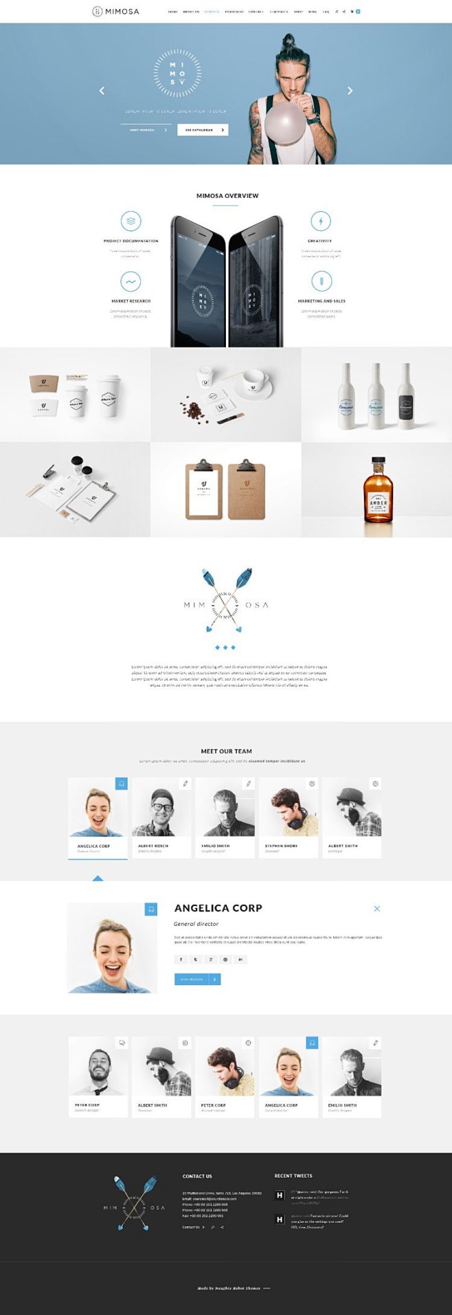 Hydrus Web Design In...