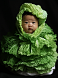 yangxia6295_a_baby_in_a_cabbage_swaddled_in_lettuce_in_the_styl_f476a63b-f31e-4cbb-881f-e2a487b5a290