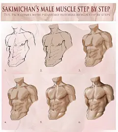#SAI资源库# 男性与女性的人体结构绘画参考，有兴趣的可以自己收藏，转需吧~