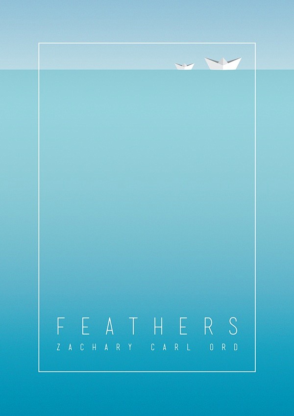 Feathers by James Br...