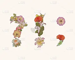 标点符号。字母的鲜花。