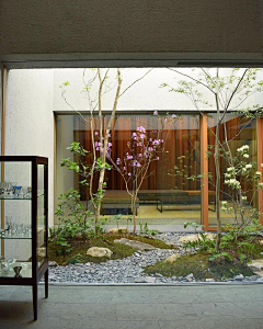 ZellYIYI采集到天井