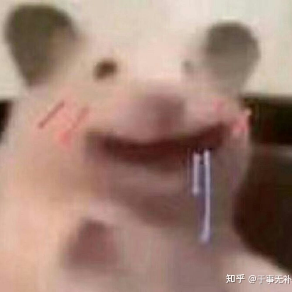 唠叨2333