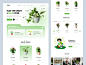 TPLANT - Website Landing Page by Oripio on Dribbble