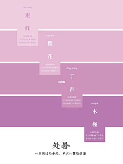 小熊梅梅采集到色板