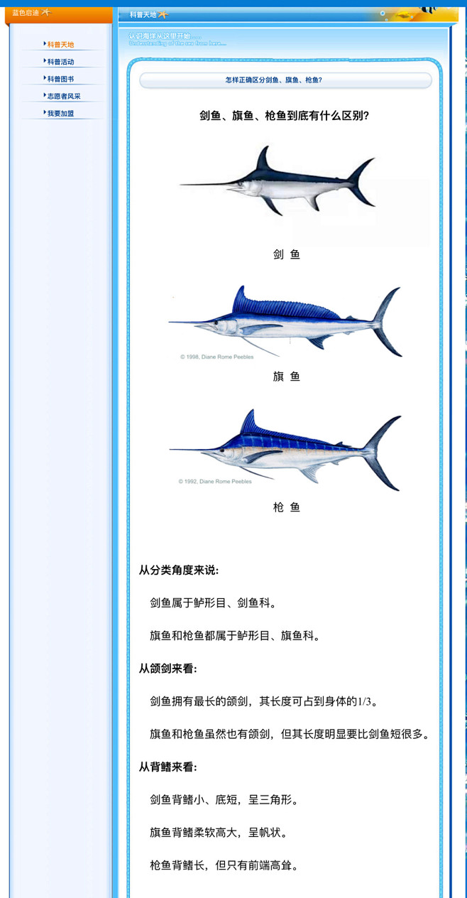 剑鱼 旗鱼 枪鱼