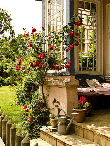 想要个院子，春暖花开的时候，可以坐在台阶...