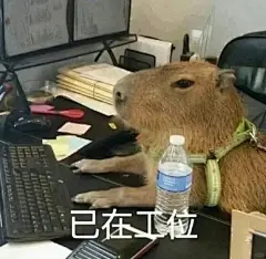 每日表情包分享_卡皮巴拉才是职场清流_2_王小怼的发疯日记_来自小红书网页版