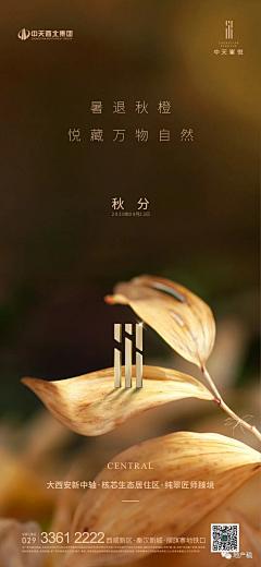 清竹m采集到插画