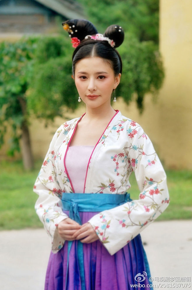梦回唐朝:冬梅
