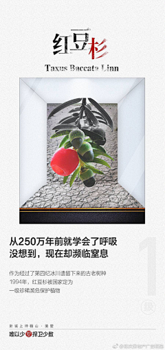 传媒部救星采集到招商