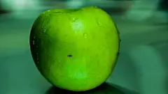 Mac动态壁纸-绿色简约护眼Mac动态壁纸5K- macw下载站