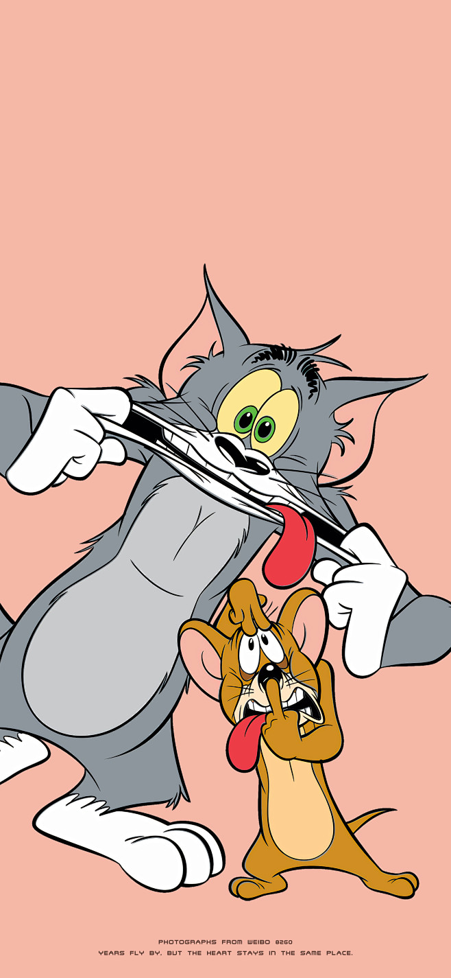 猫和老鼠