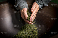 用户uAwGBVXZ采集到茶素材