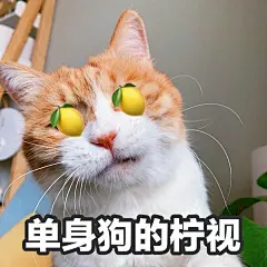 最好看的橘猫长什么样？ - 知乎 : 猫日啊瞧瞧这张忧国忧民的大饼脸，啧啧，多惹人怜爱啊！昨天刚知道它的名字，行走的表情包猫猫。微博热搜…