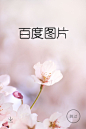 百度图片手机APP启动页UI设计