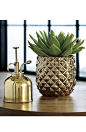 CB2 Colada pineapple vase: http://www.stylemepretty.com/living/2016/04/04/20-home-steals-under-20/: @北坤人素材