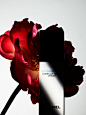 Marketplace : LOOKBOOKS.com is the Technology behind the Talent. Discover, follow, share. 