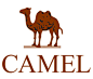 骆驼服饰logo