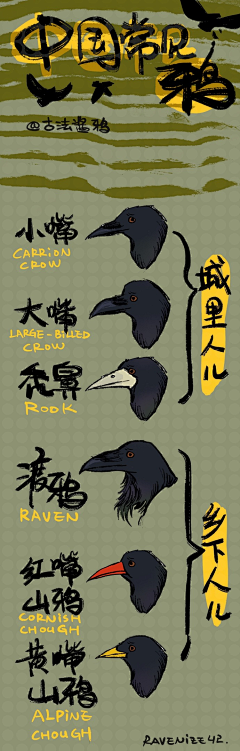 浣非雨采集到动物