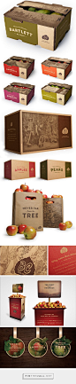 BC Tree Fruit Packaging & ReBrand on Behance by  Briony Crane Vancouver, BC curated by Packaging Diva PD. Rebrand project was developed to highlight BC Tree Fruit's rich and authentic Okanagan heritage.: 