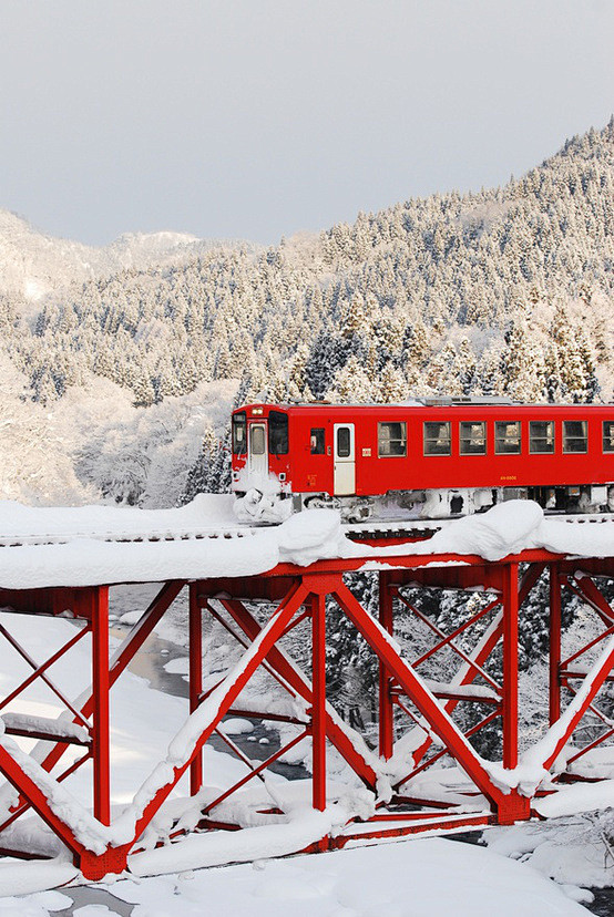 白色和红色白色和红色秋田县日本