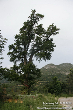 Zghaibb采集到初探九峰山纯阳上宫, 人